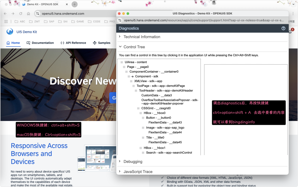 UI5页面打开diagnostics技术信息页面