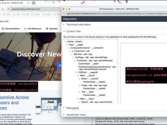 UI5页面打开diagnostics技术信息页面