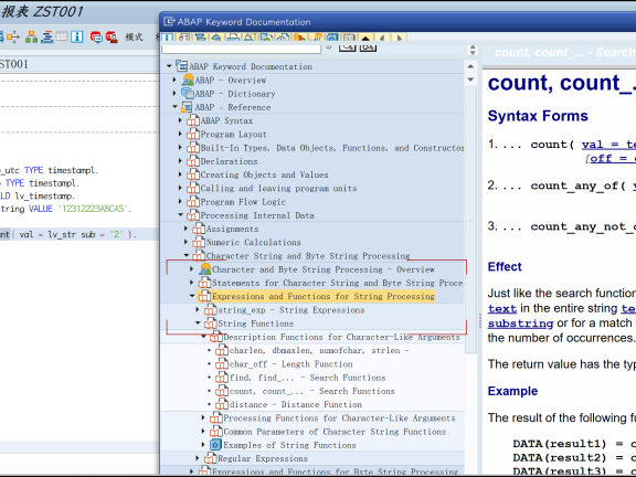 字符串处理标准的表达式和函数,Expressions and Functions
